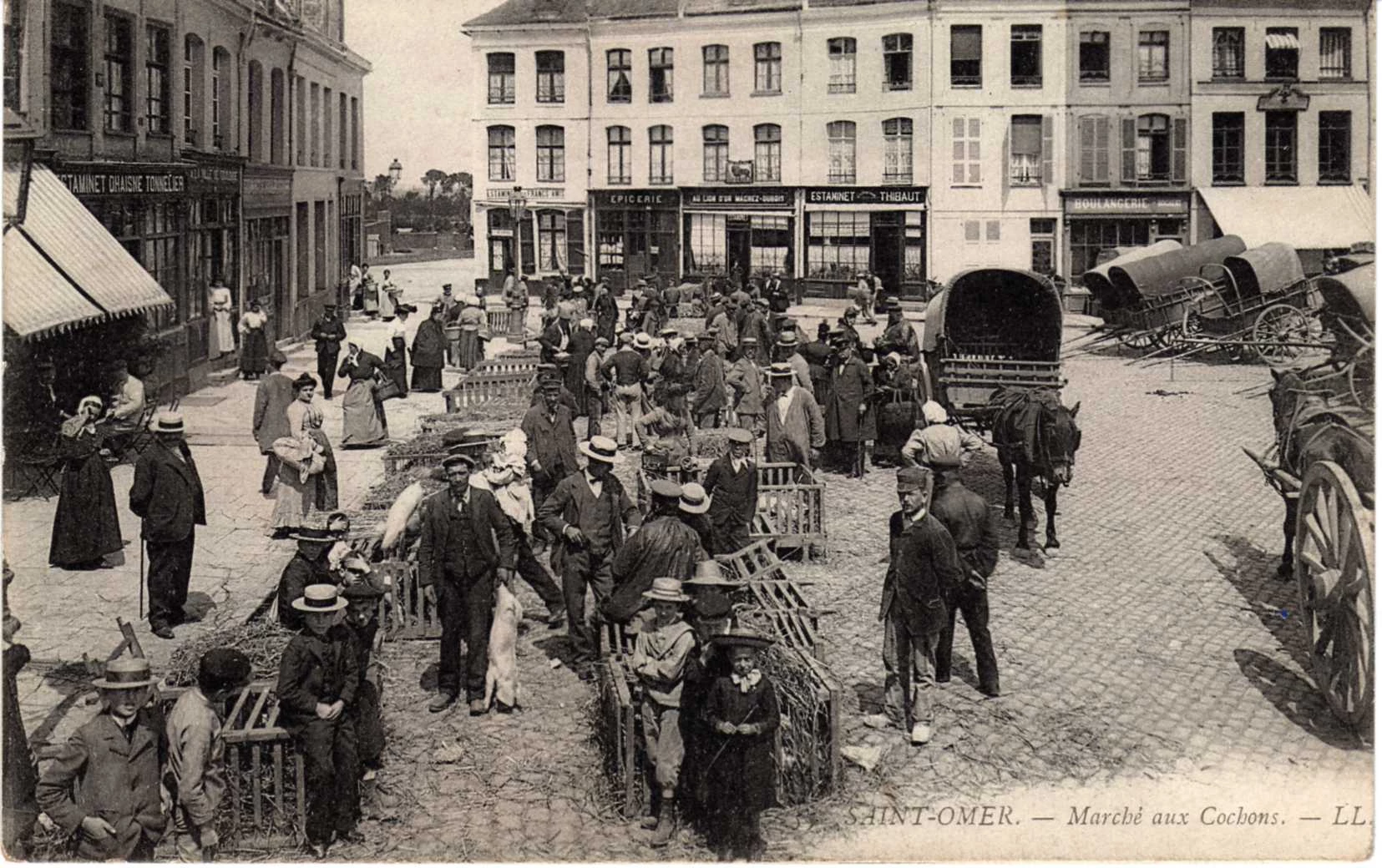 (k)- Marché aux cochons