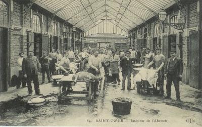 On peut voir sur cette vue l'intérieur de l'abattoir qui se trouvait sur la rue de Thérouanne juste en façe de la place Perpignan autrefois appelée place du marché aux bestiaux où se déroulait des concours agricoles.